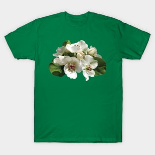 Apple Blossoms - Closeup of Apple Blossoms T-Shirt